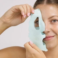 Hydra mask kit